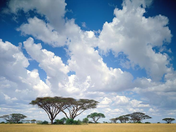 Afryka - Masai Mara Game Reserve, Kenya.jpg