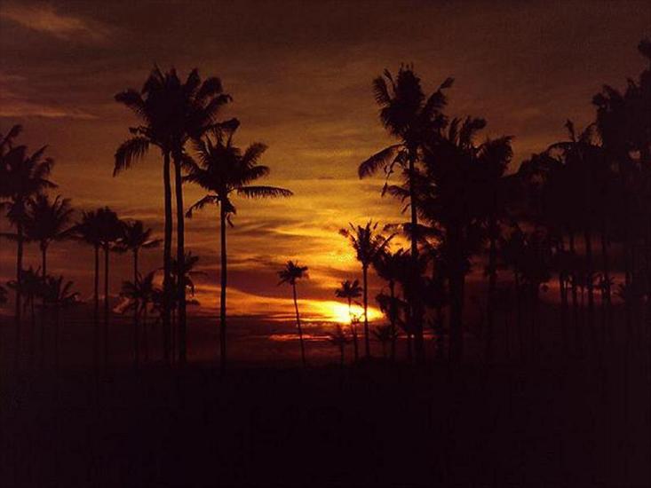 TROPIKI - tropical-sunset.jpg