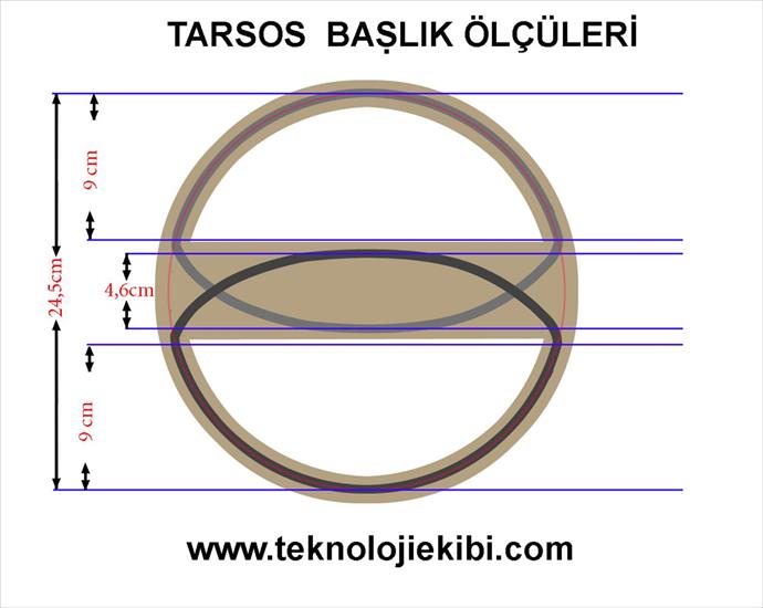  Schematy do wykrywaczy - Tarsos detector vlf b.jpg