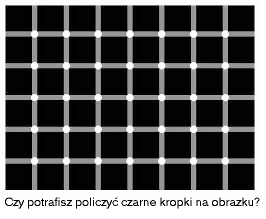 Iluzje optyczne - 1.jpg