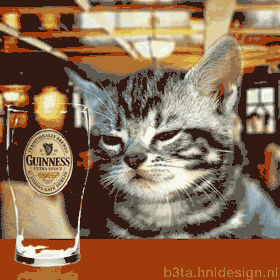 Galeria kocia - Kotek i zimny napój.gif