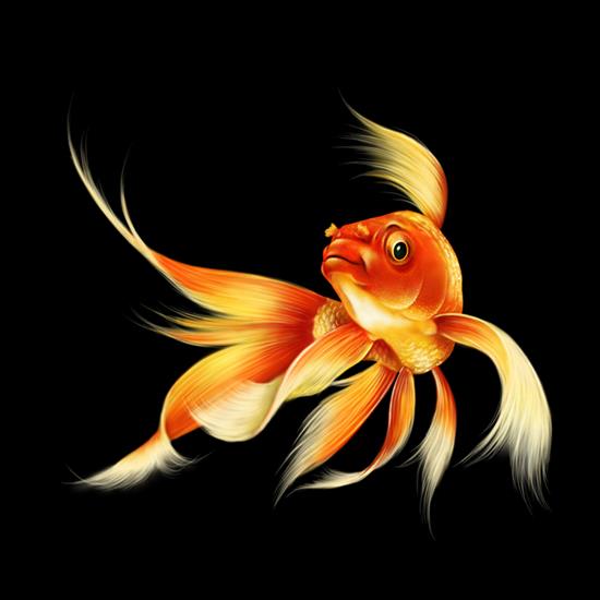 Rybki - golden-fish.png