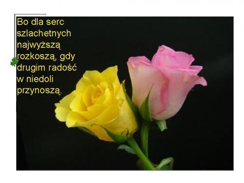 Gify-Karty z wierszykami - wiersz z rozowa i zolta roza.jpg