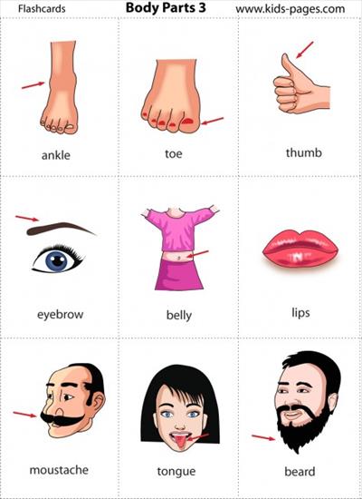 j. angielski dla dzieci - karty do nauki słówek - Body Parts 3.jpg