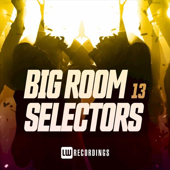 VA-Big_Room_Selectors_13-LWBRS13-WEB-2022-COS - 00-va-big_room_selectors_13-web-2022.jpg