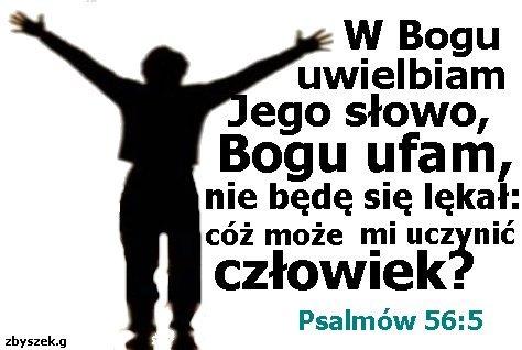  zbyszek.g-część jego twórczości - 0397337515.jpg